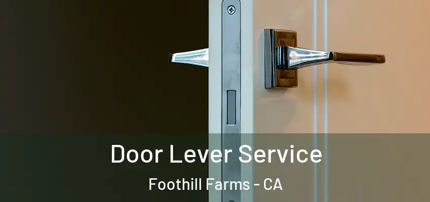  Door Lever Service Foothill Farms - CA